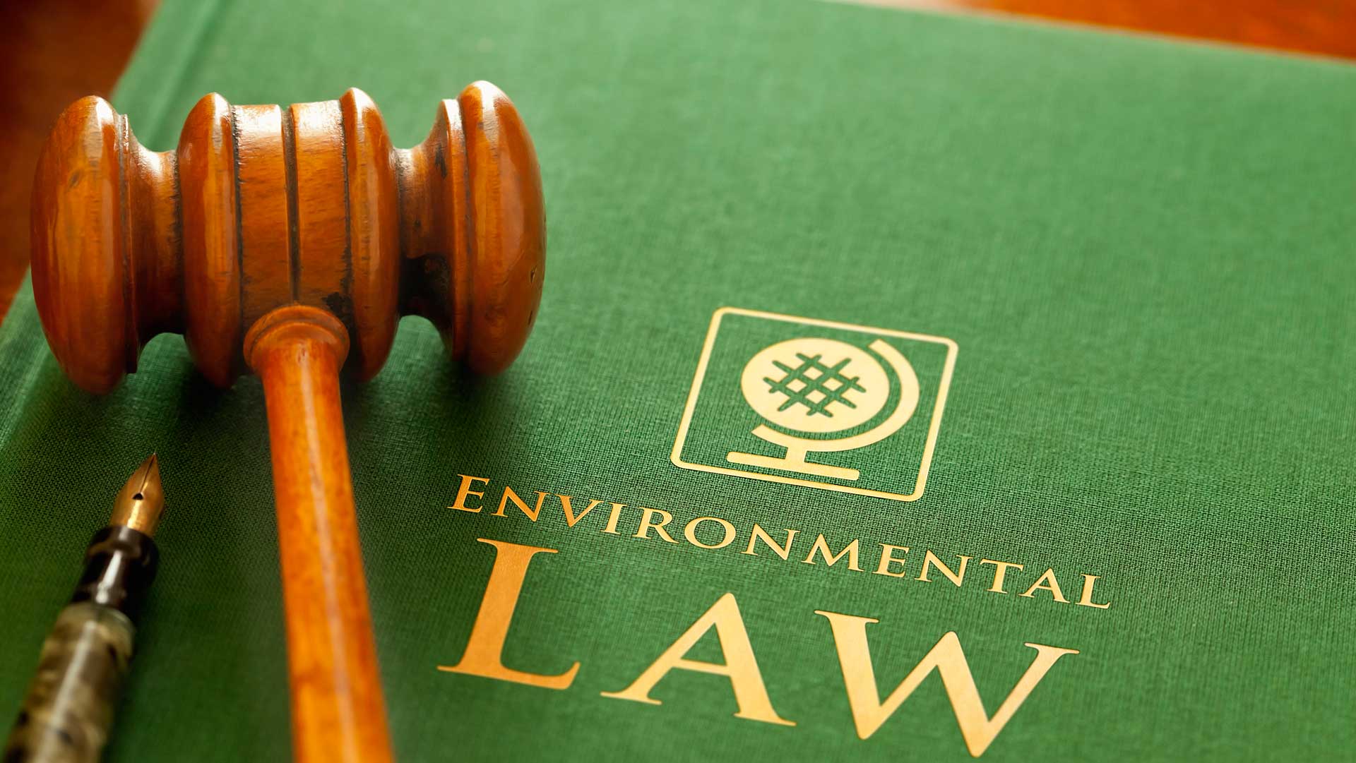 					View Vol. 1 No. 1 (2026): Innovation, precaution, and sustainable development in EU environmental law–a false trichotomy?
				